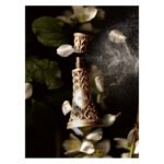 71KcACHcPTL._AC_SL1500_