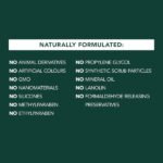 61QjByQyXLL._AC_SL1500_