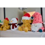 81cENP9ByAL._AC_SL1500_